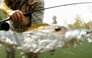 Fly Fishing แม่ฮ่องสอน ฟลายฟิชชิ่ง Montana Thailand