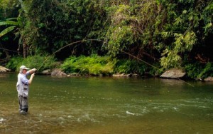 Fly Fishing แม่ฮ่องสอน ฟลายฟิชชิ่ง Montana Thailand