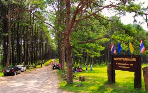 สถานีวิจัยสวนสนบ่อแก้ว