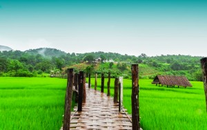 สะพานซูตองเป้ สะพานแห่งศรัทธา